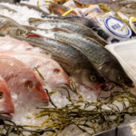 Freshest Catches Across Atlas Properties